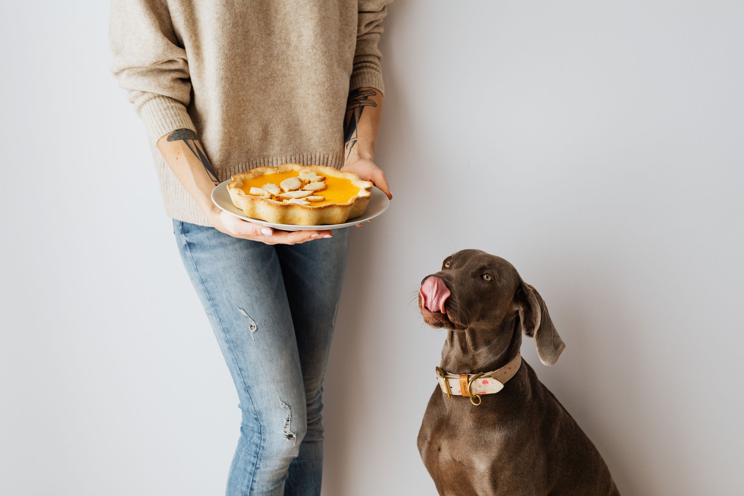 Wat mag een toypoedel niet eten? Giftige voeding op een rij