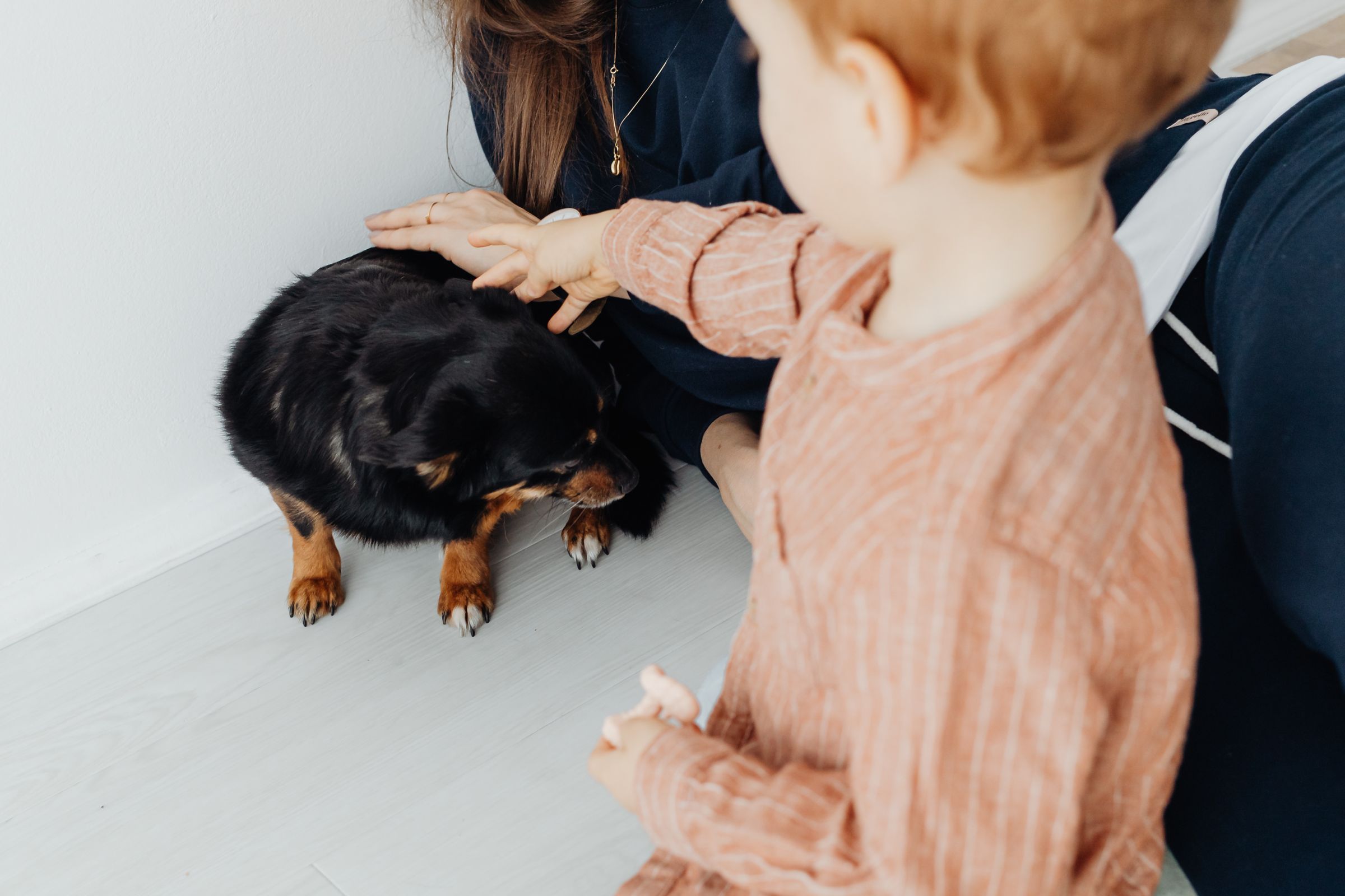 De toypoedel en kinderen: eerlijk over wat wél en niet past