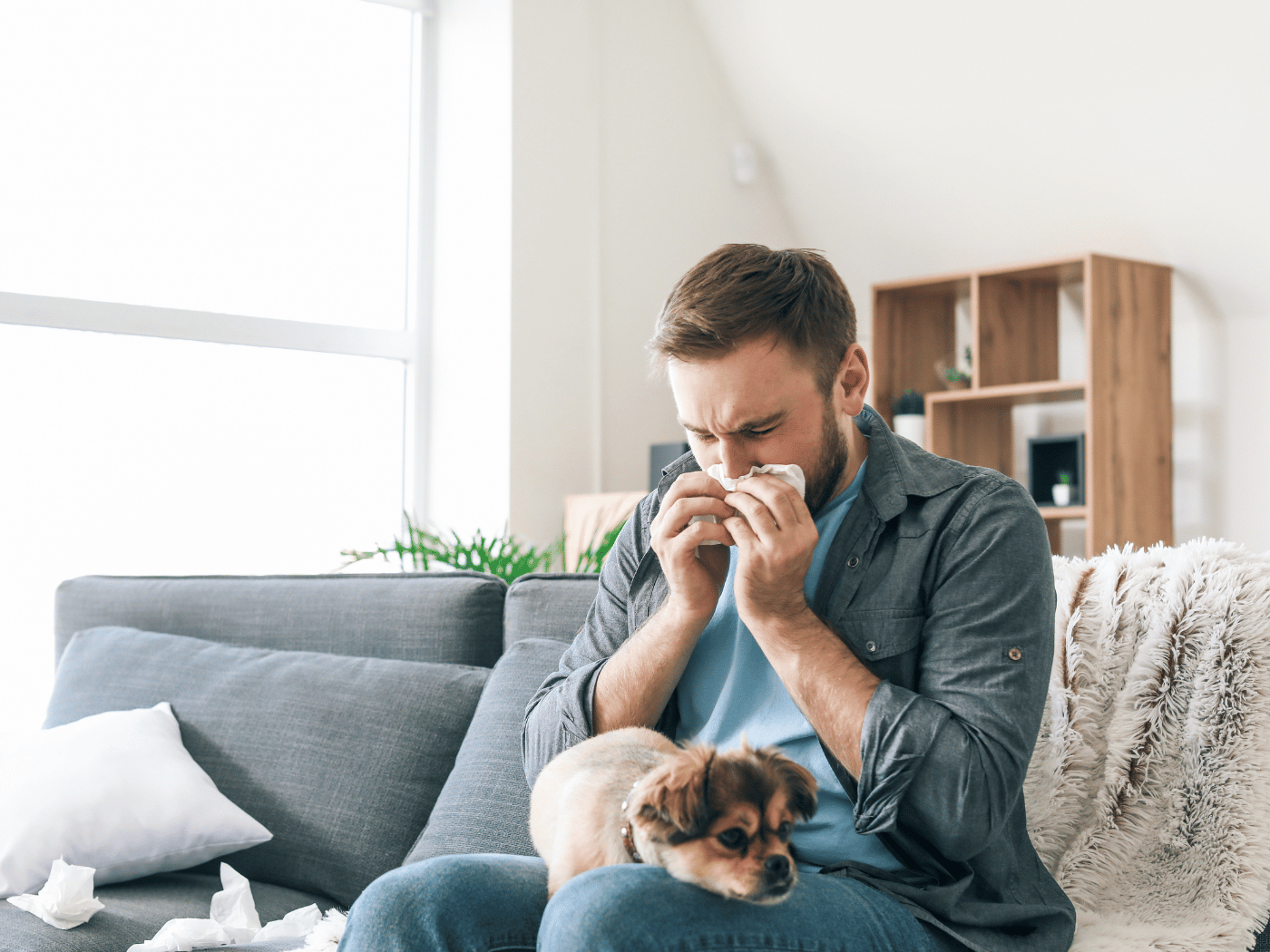 Dieren allergie